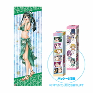 戦国乙女 スティックポスター 水着Ver.【シンゲン】 | キュイン萌ーる