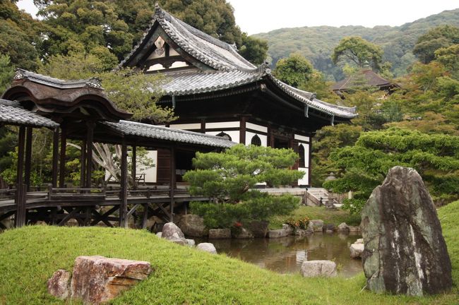 京都東山 高臺寺の軒先瓦。慶長十年豊臣秀吉の正室 高台院 寧々が秀吉