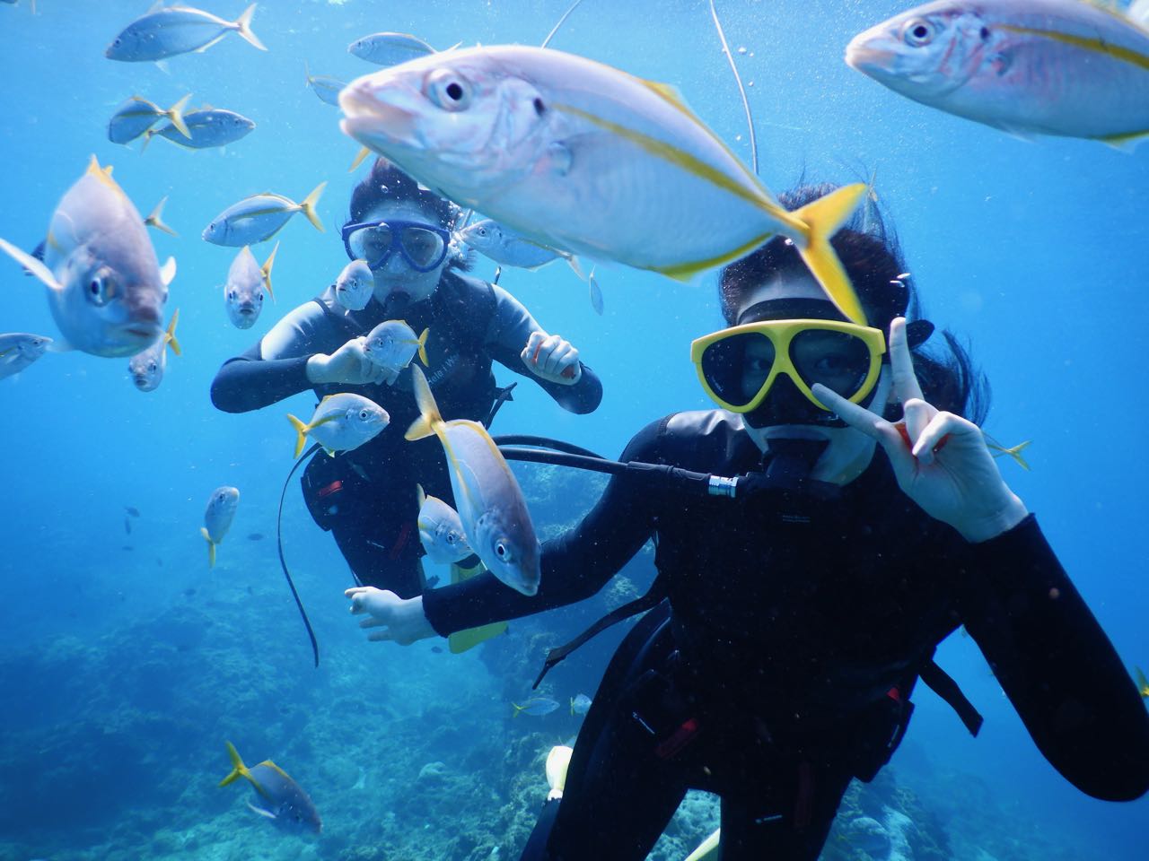 ダイビング 大阪-八尾市のダイビングショップ ZX DIVING(ジーエックス