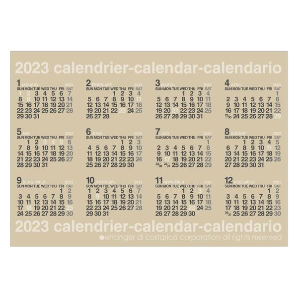 エトランジェ・ディ・コスタリカ 【2023版】B2 ポスターカレンダー CLP