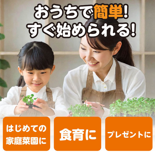 小松菜様 リクエスト 2点 まとめ商品 【公式通販】