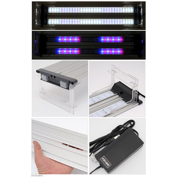 寿工芸 フラットLED ツイン 600 4972814033405 1個（直送品） - アスクル