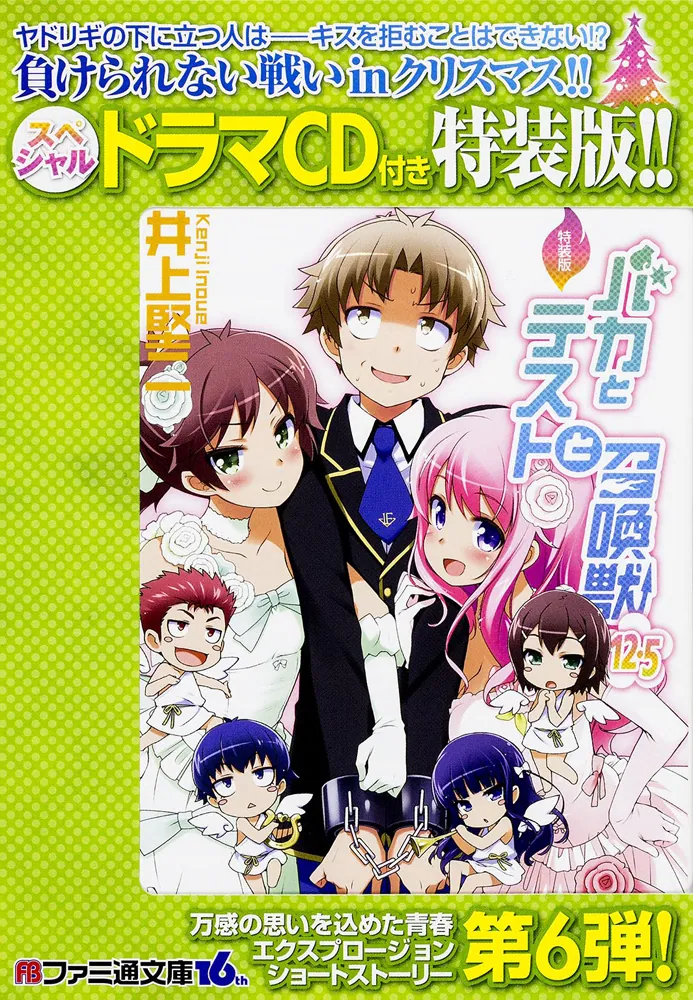 特装版 バカとテストと召喚獣12.5」井上堅二 [ファミ通文庫] - KADOKAWA