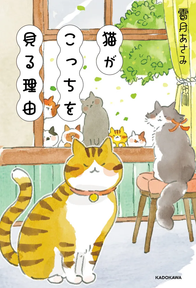 猫がこっちを見る理由」雹月あさみ [文芸書] - KADOKAWA