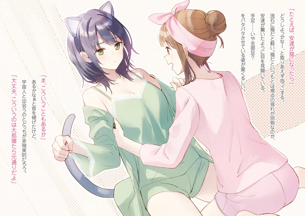 安達としまむらSS2」入間人間 [電撃文庫] - KADOKAWA