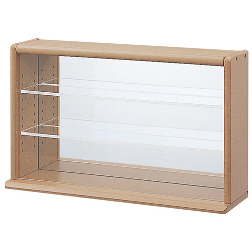ナカバヤシ コレクションケース ミニワイド 透明アクリル棚板タイプ