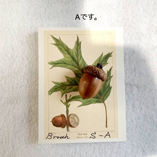 どんぐりのブローチ S | iichi 日々の暮らしを心地よくする
