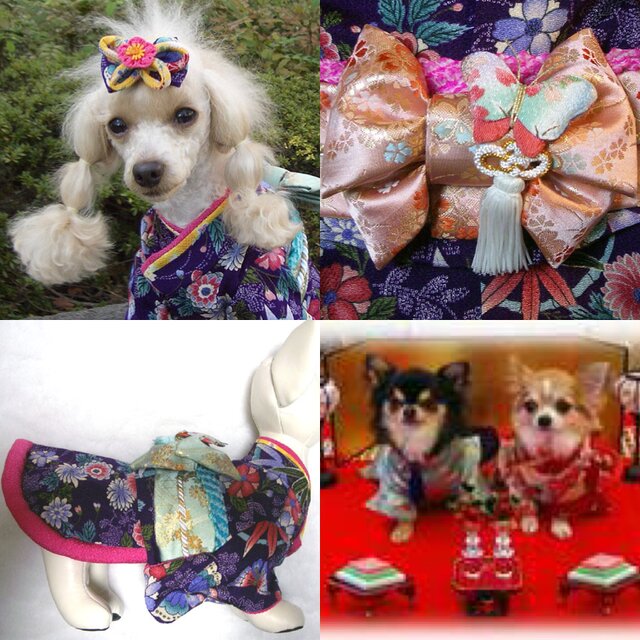 B398.pon2pan2☆オーダー☆犬お着物☆犬2ウェイお着物