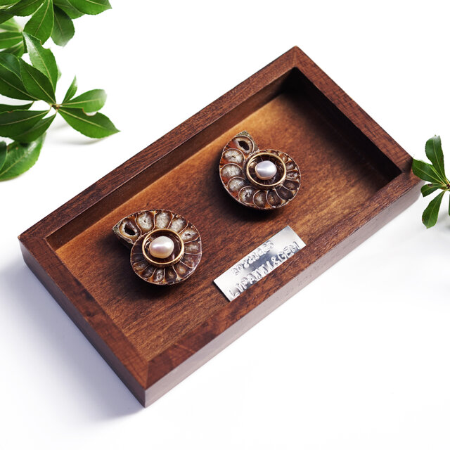 リモージュ ×アンモナイト ヴィンテージ アクセサリーケース 銀製品 工芸品