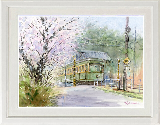 水彩画(嵐電の風景) 嵐電 桜の木 水彩画