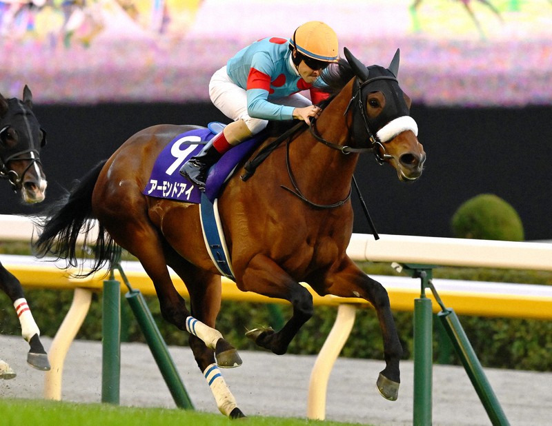 アーモンドアイミニゼッケン2019天皇賞・秋 ルメール騎手直筆サイン