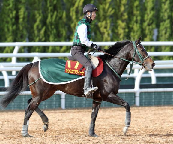 イクイノックスまとめ売り セレクトセール】イクイノックスが華々しい