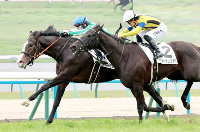 脳を焼かれた」「凄いお年玉」単勝170倍超の13番人気勝利にSNS衝撃