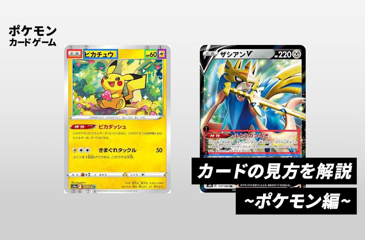 ポケカ】ポケモンカードの見方を解説！ | スニーカーダンク