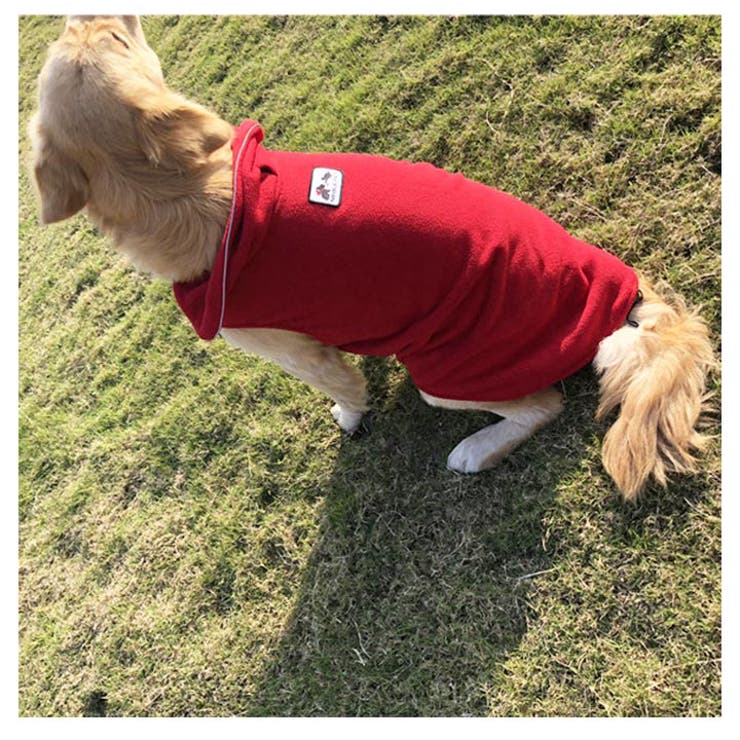 犬 服 犬服[品番：NX000005653]｜K-city（ケイシティ）のファッション