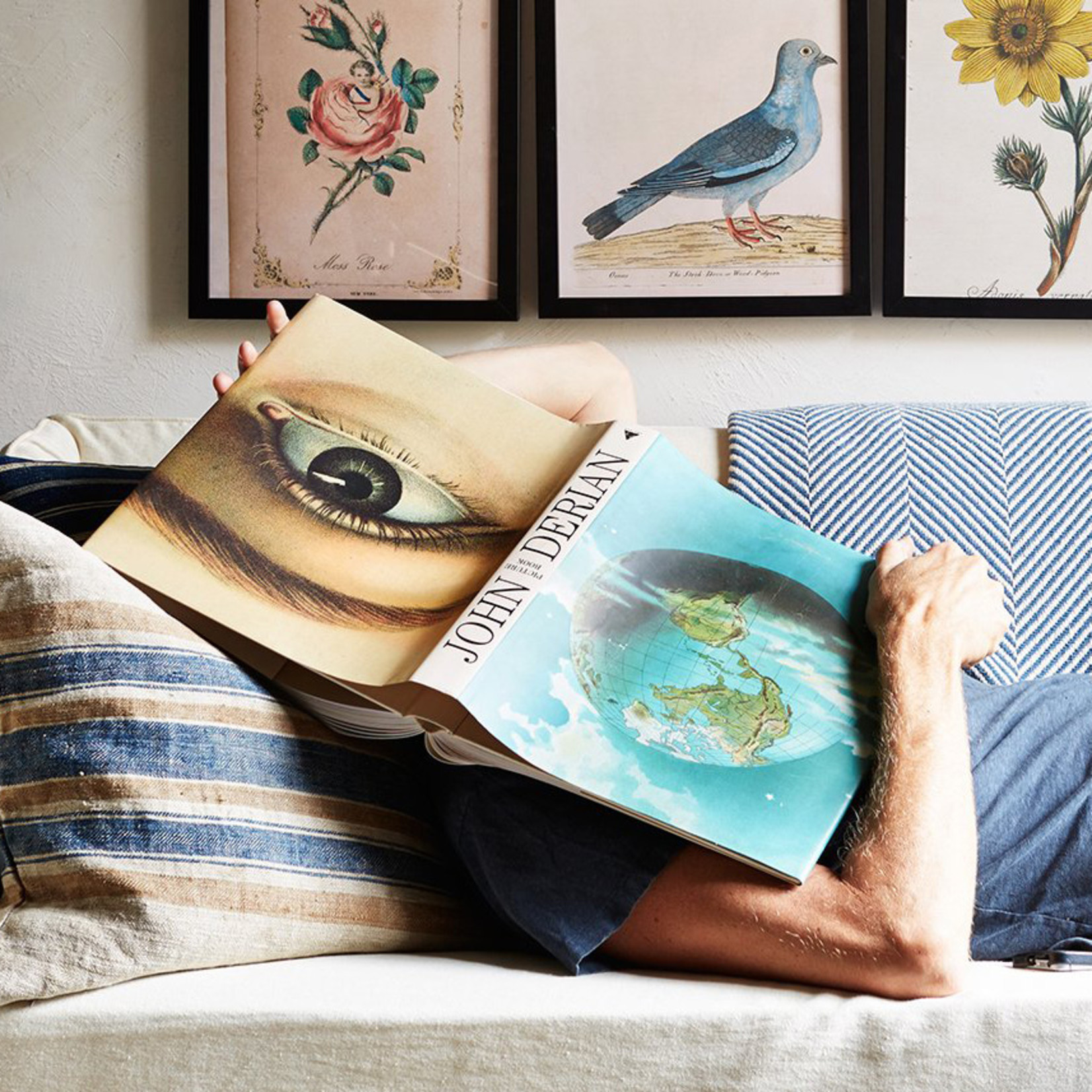 John Derian Picture Book - Crème de la Crème