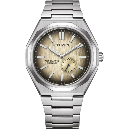 Citizen NK5020-58L Zenshin Super Titanium watch