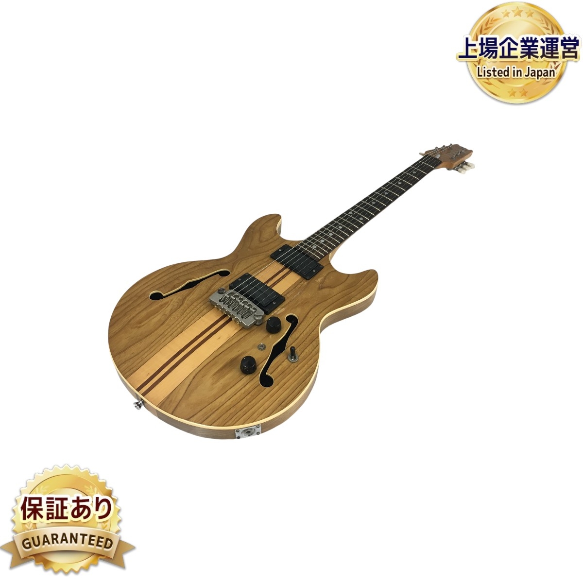 Aria Pro Ⅱ アリアプロⅡ セミアコ Aria Pro II アリアプロ2 TA-TONIC