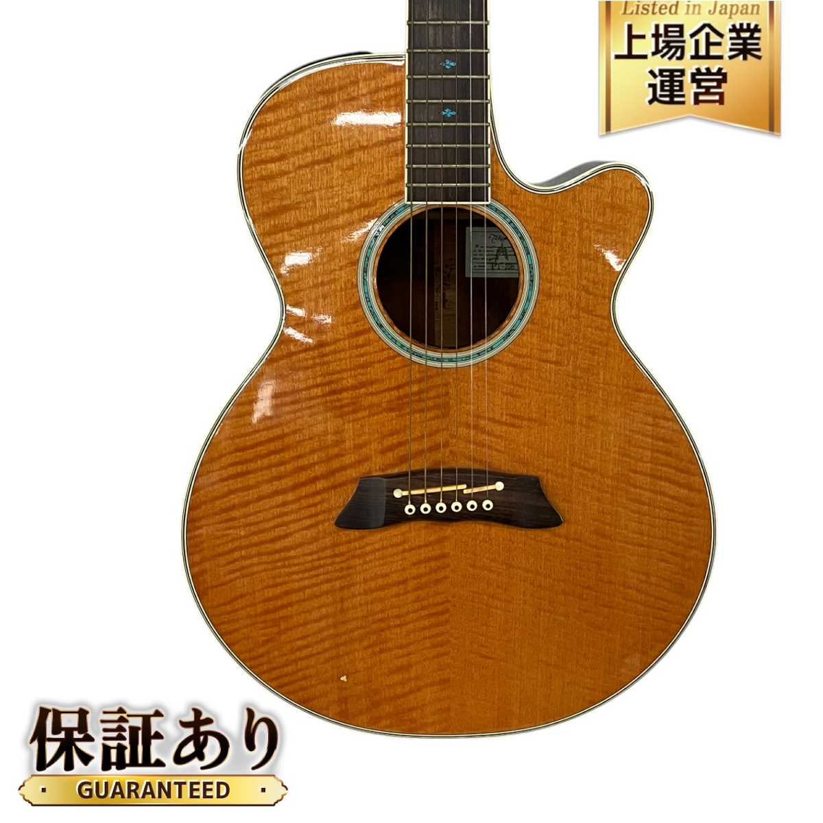 takamine 【PT-100】エレアコギター ハードケース付き △▽【中古