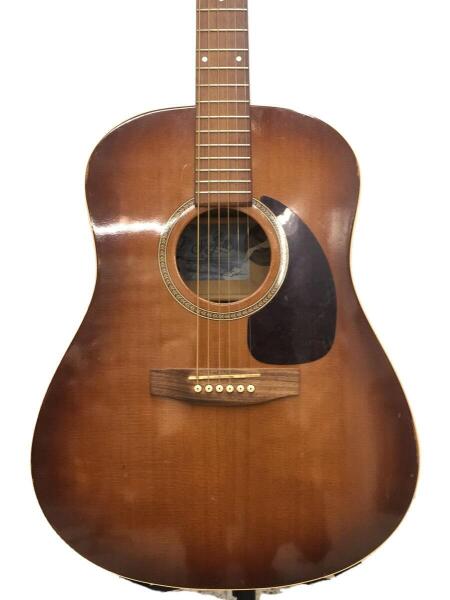 Seagull(シーガル) / S6＋burst GT アコースティックギター/サン