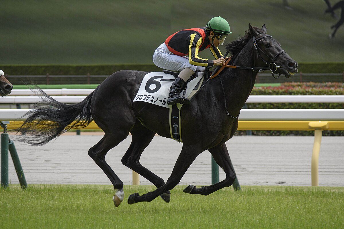 JRA】期待の3歳馬クロワデュノール！北村友一騎手とのコンビで皐月賞
