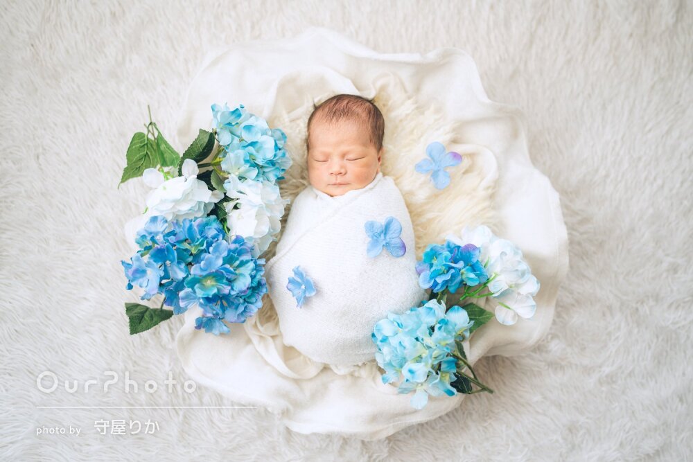 紫陽花のフォトギャラリー｜OurPhoto出張撮影の撮影例を紹介