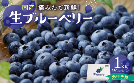 2026年発送】 先行予約 国産 ブルーベリー 1kg フルーツ ベリー 果物