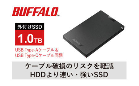 BUFFALOポータブルSSD1TB MiniStation スティックタイプ BUFFALO