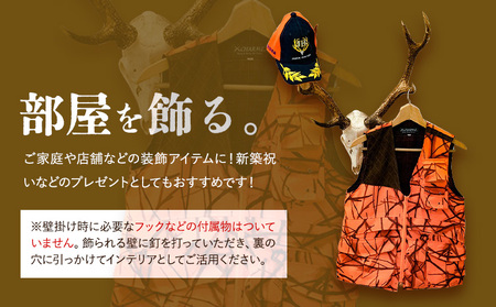 ニホンジカ頭骨付き角 壁掛け 小 【配送不可地域あり】※離島 上野浩嗣