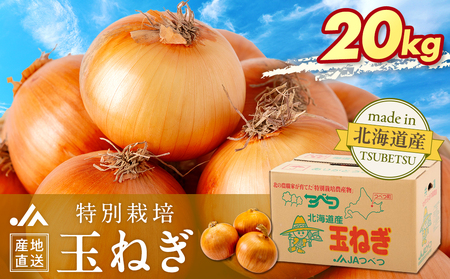 先行受付】R8年産 特別栽培玉ねぎ 20kg | 玉ねぎ たまねぎ タマネギ