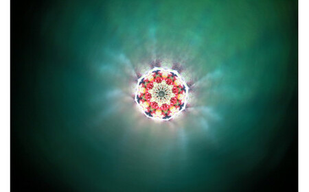 香蘭社 有田焼万華鏡 リンドフィールド（テレイド） 香蘭社 リンド