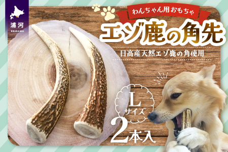 蝦夷鹿の角 犬の おもちゃ 工芸品などにカット済み 15番 犬