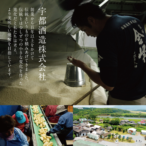 焼酎 芋焼酎 10本飲み比べセット 忘年会 年越し お正月に！ 焼酎 芋