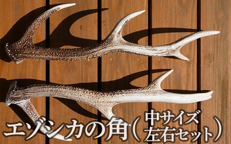 蝦夷鹿 鹿茸の袋角 約2400g 柔らかい先 蝦夷鹿 鹿茸の袋角 約2400g