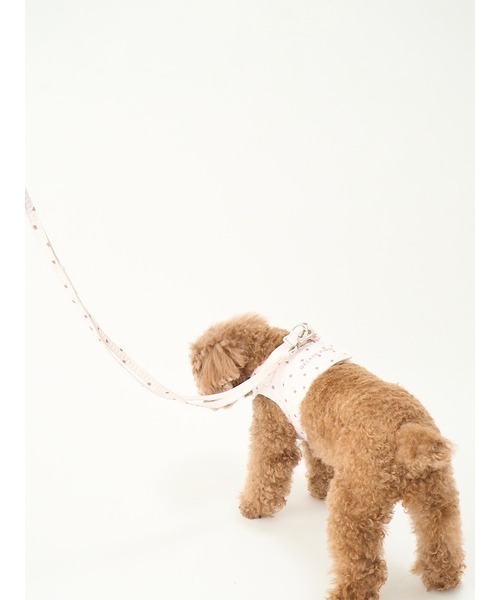 CAT&DOG】【販路限定商品】モチーフ柄ハーネス（リード/ハーネス/首輪