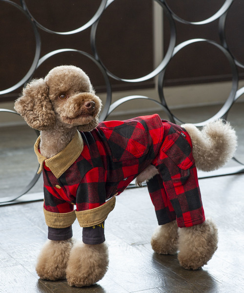 アズノゥアズデワン asknowasdewan NU バッファローPT MD