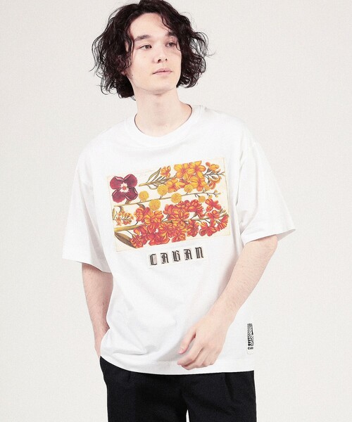 CABaN スビンコットン パレルモプリントTシャツ