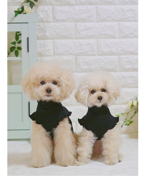 poteco】【再入荷】【大人気】フリルリブタンクトップ/犬服(ドッグ