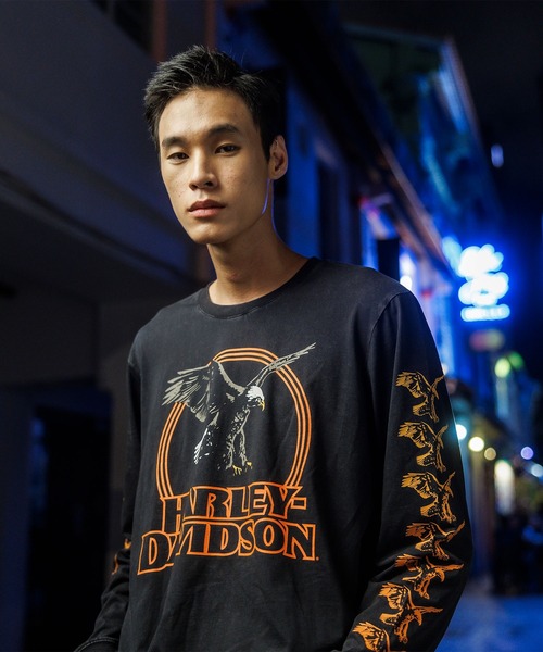 テンダーロイン Tシャツ Mサイズ ハーレー RRL アットラスト