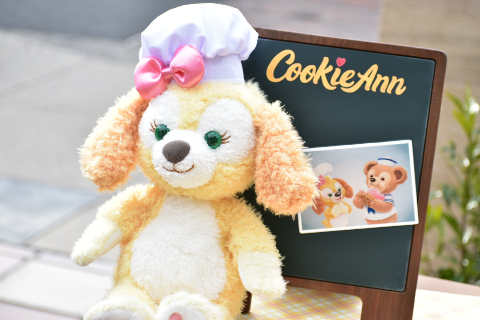 ダッフィー リーナベル クッキーアン セット ディズニー クッキーアン