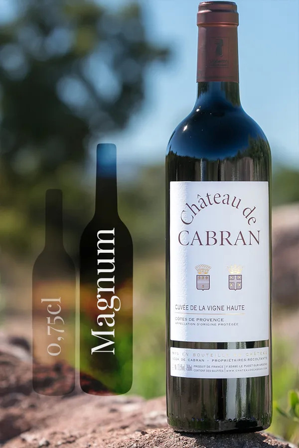 Magnum] Cuvée de la Vigne Haute