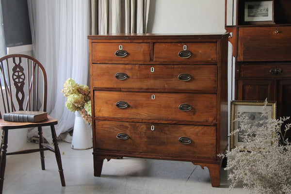 イギリス アンティーク 家具 アーキテクト チェスト 製図 図面入れ