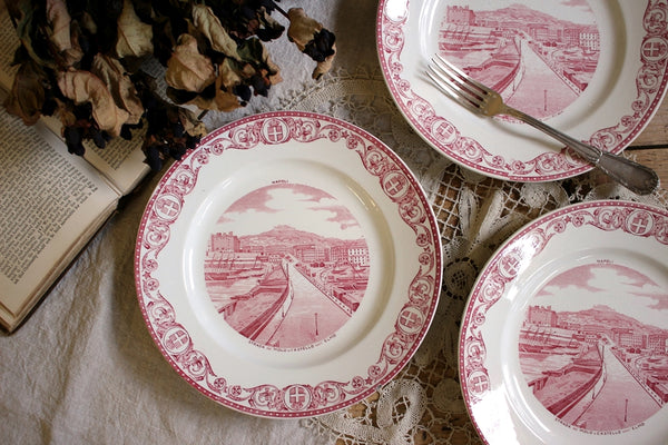 1枚あり！BOCH FRERES(ボッホ・フレール)窯赤の平皿（直径22cm