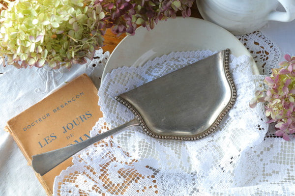 IMG_8881_1-1_grande.jpg?v=