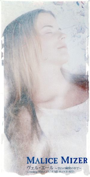 マリスミゼルヴェルエール店舗販促用