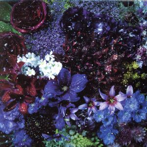 Aimer あなたに出会わなければ アナザージャケット あなたに出会わ