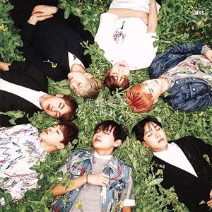 BTS 花様年華 pt.1 日本仕様盤 トレカ テヒョン 花様年華 pt.1(