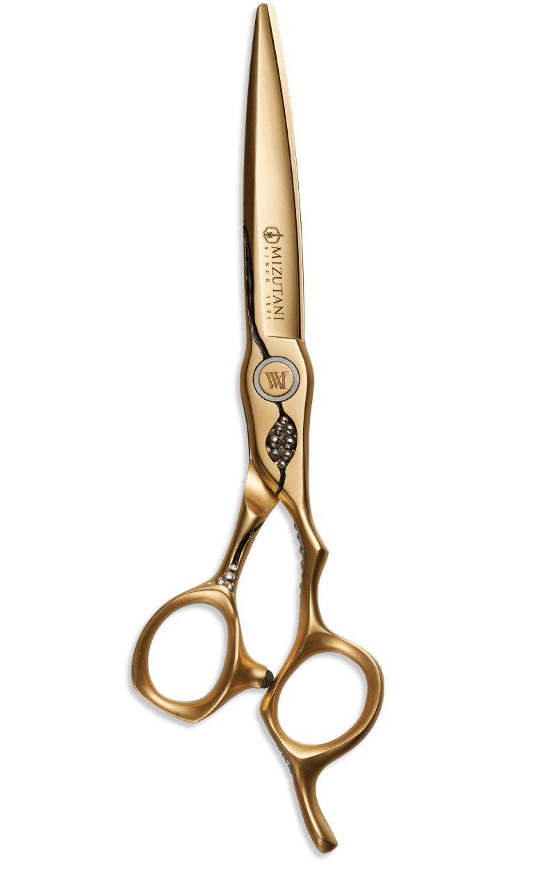 特集 CROSSOVER GANYMEDE | ミズタニシザーズ