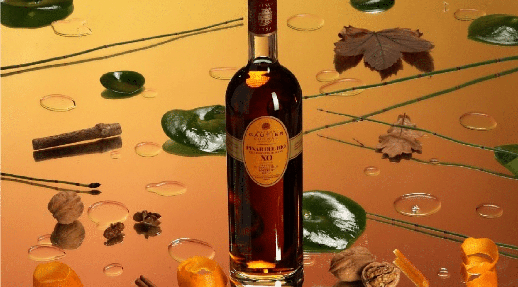 Ninurta42 さま専用 COGNAC XO GAUTIER Ninurta42 さま専用 COGNAC XO