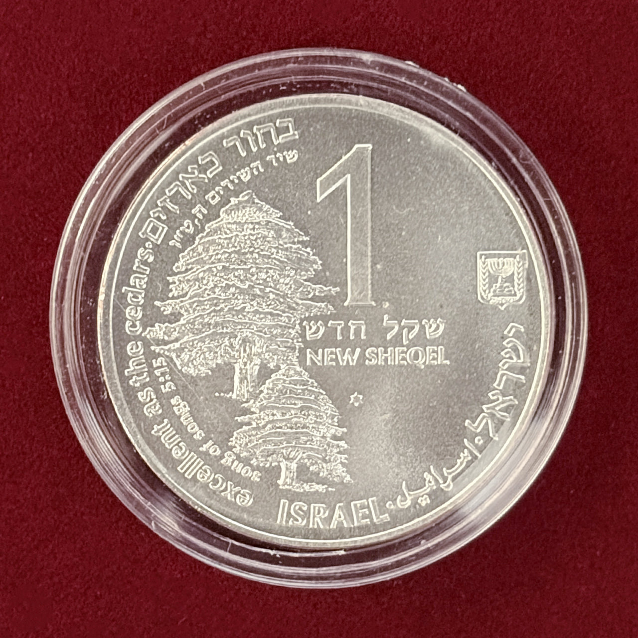 PCGS MS67 1981 イスラエル 1シェケル 銀貨 ポーランドランプ PCGS
